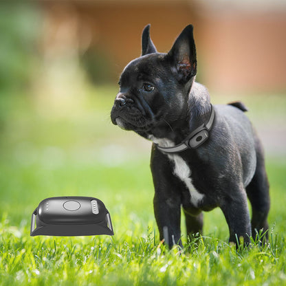 📍GPS Tracker voor Honden met Activiteitsmonitor - Veiligheid en Gezondheid in Één