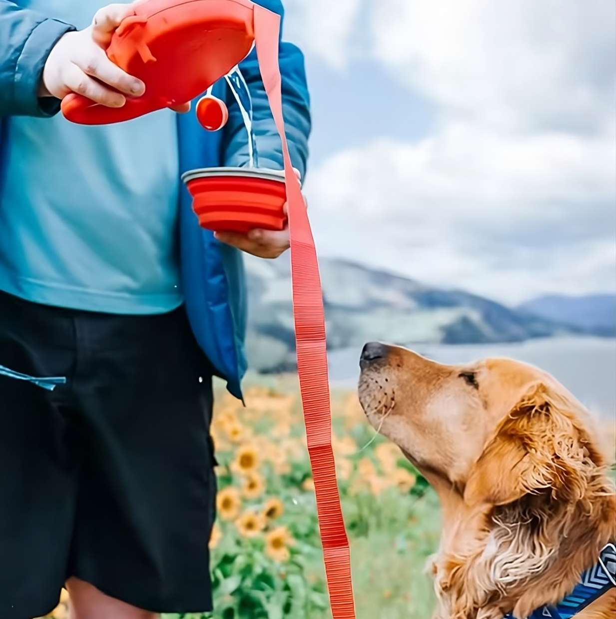 Multifunctionele Hondenriem met Geïntegreerde Waterfles en Opvouwbare Voerbak – Perfect voor Wandelen met Honden